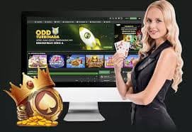 tarunabola esports dashboard showing Free Fire team statistics and weekly cashback rewards